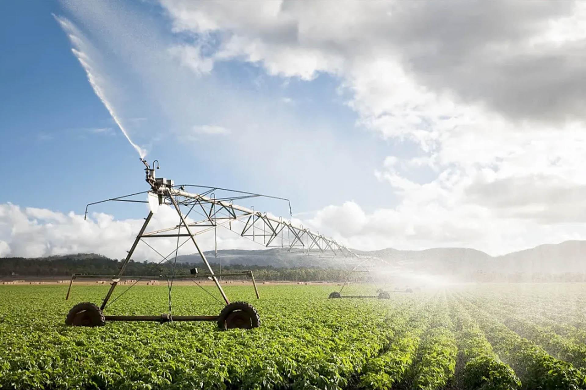 重新定义乡村发展机遇，打造可持续发展产业