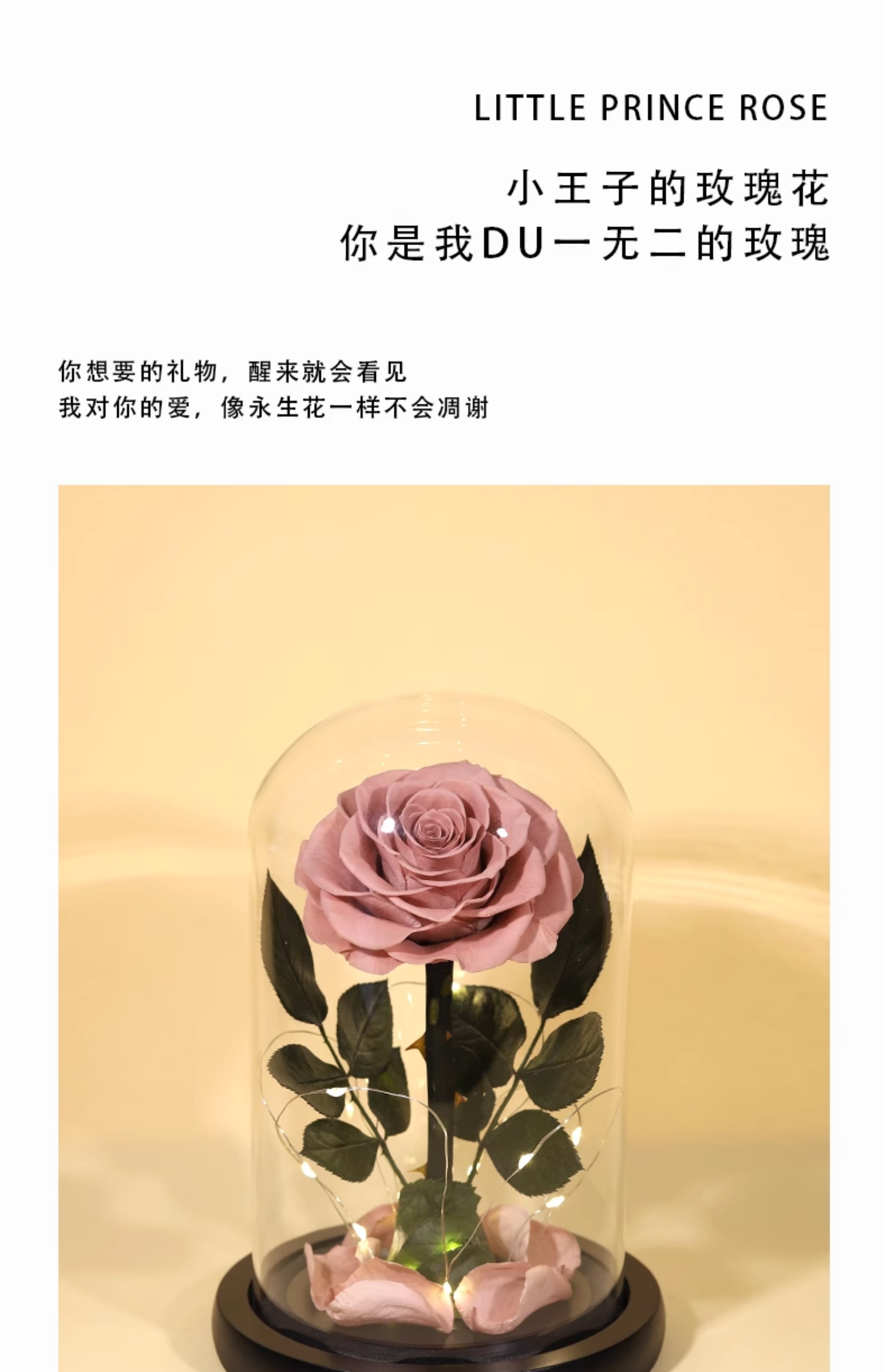 O1CN01PjqFf71XQx3mhNiuA_!!2755272919.jpg