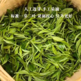 福利款新茶高山绿茶春茶浓香耐泡装碧螺春250g茶叶手工炒作
