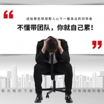 全5册管理类管理学书籍企业领导力者的成功法则识人用制度管人不懂带团队你就自己累管理就是带团队三要如何开店营销方面的畅销书